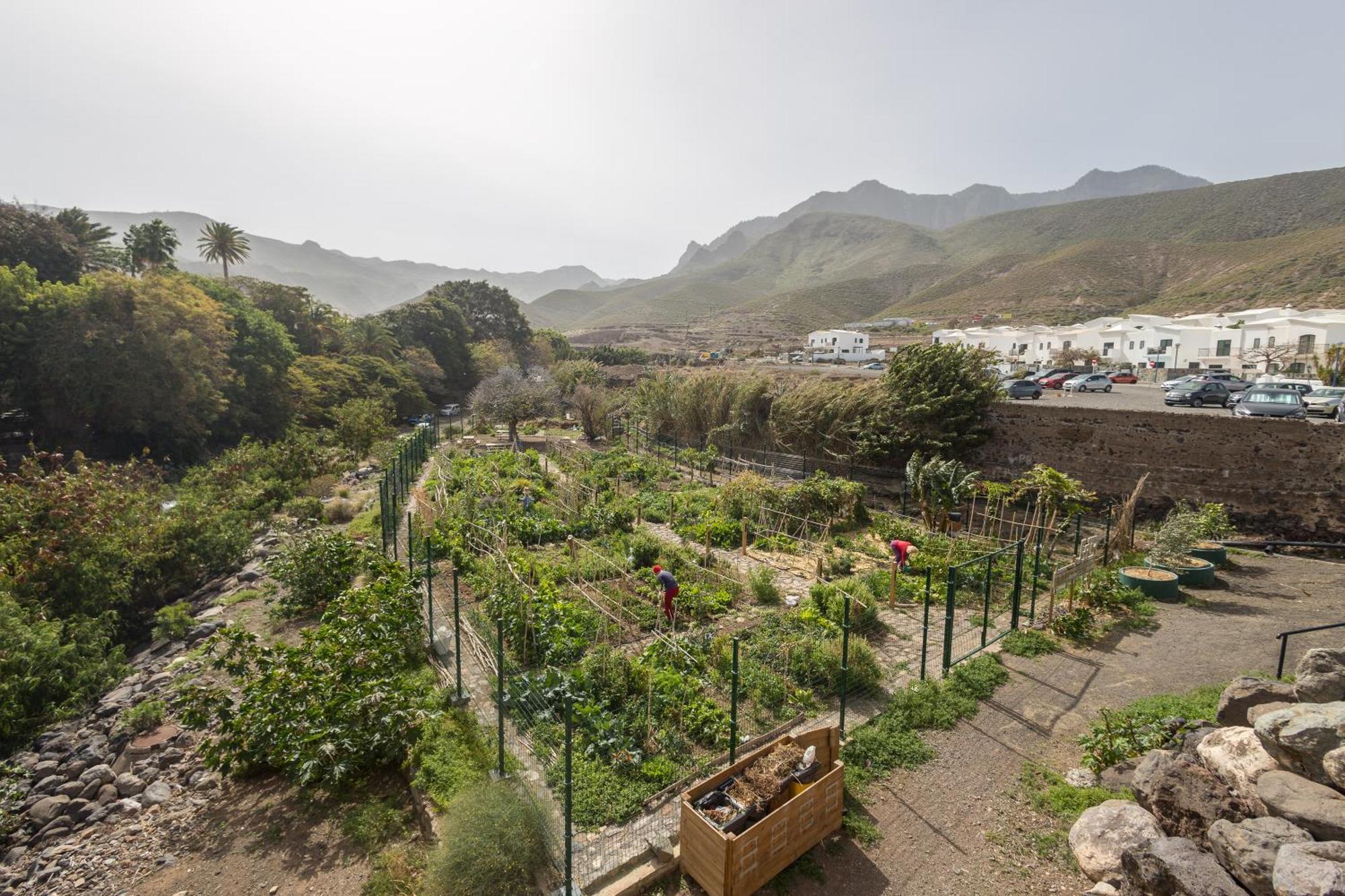 Casa Carmen Agaete Con Terraza Y Vistas Al Marアパートメント エクステリア 写真