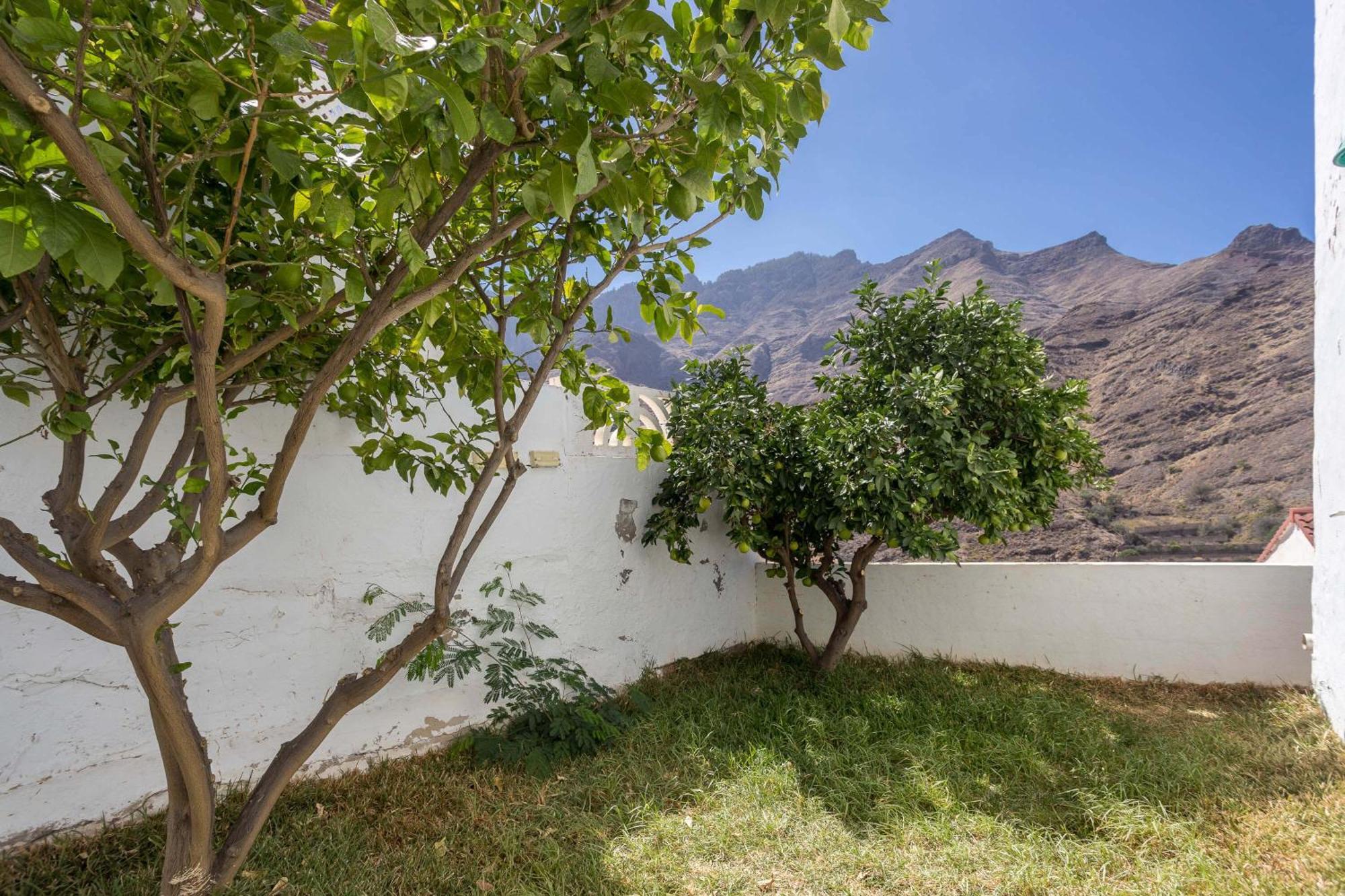 Casa Carmen Agaete Con Terraza Y Vistas Al Marアパートメント エクステリア 写真