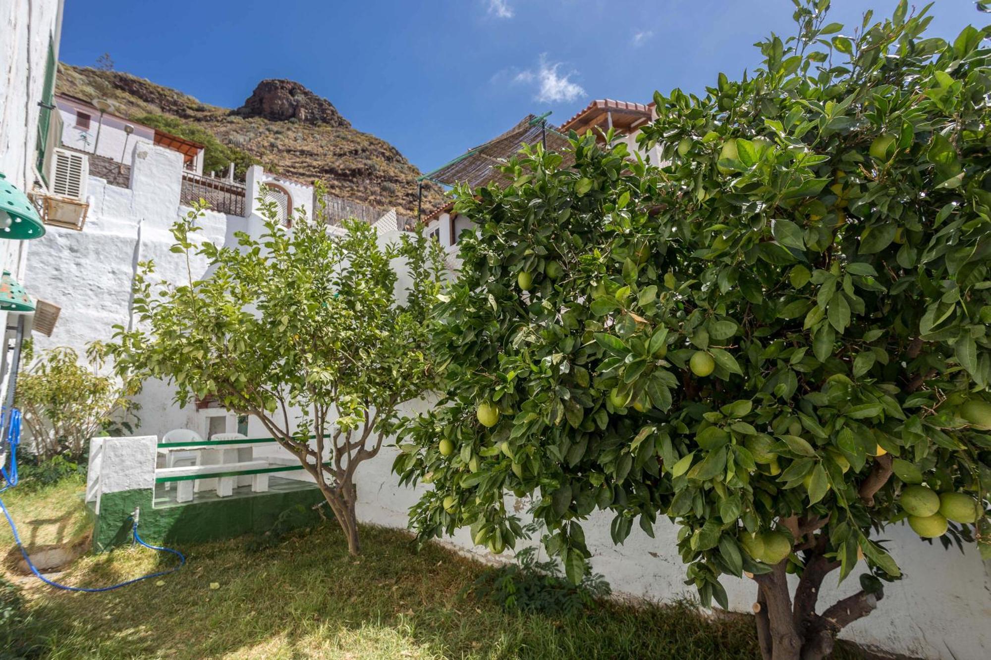 Casa Carmen Agaete Con Terraza Y Vistas Al Marアパートメント エクステリア 写真