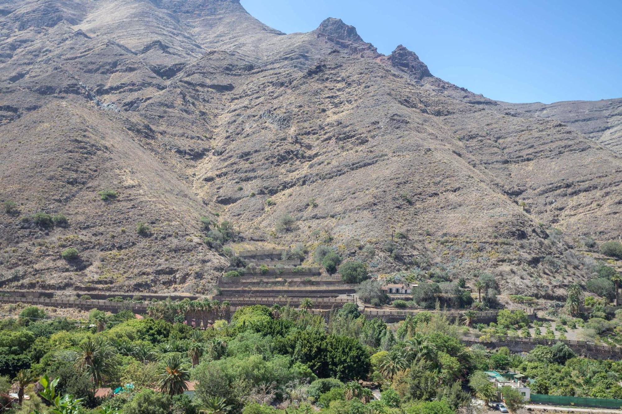 Casa Carmen Agaete Con Terraza Y Vistas Al Marアパートメント エクステリア 写真